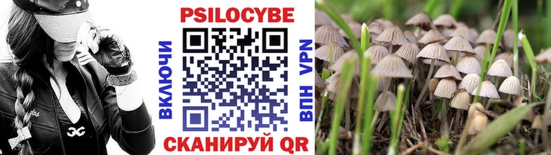 Галлюциногенные грибы ЛСД  kraken как зайти  Ртищево 