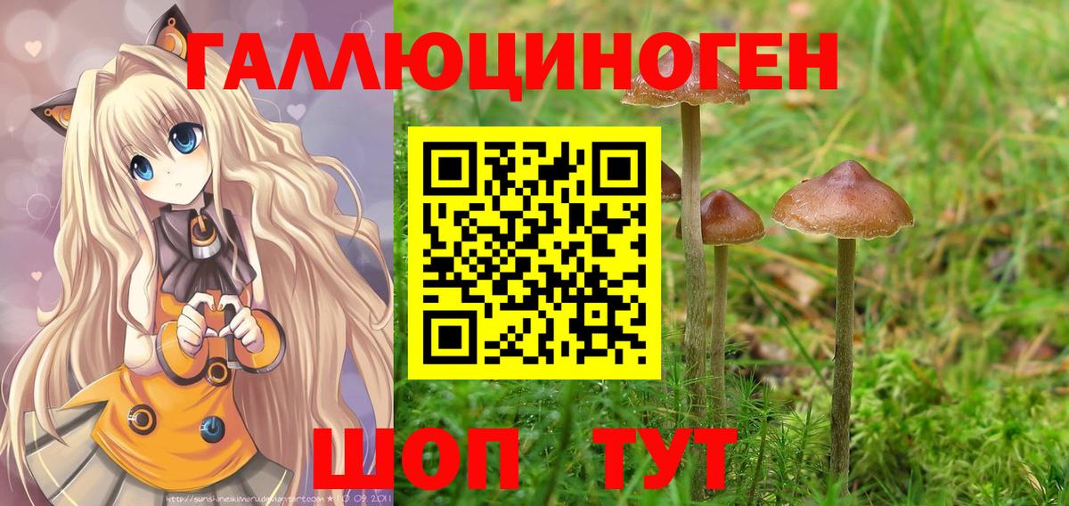 Псилоцибиновые грибы мухоморы Ртищево